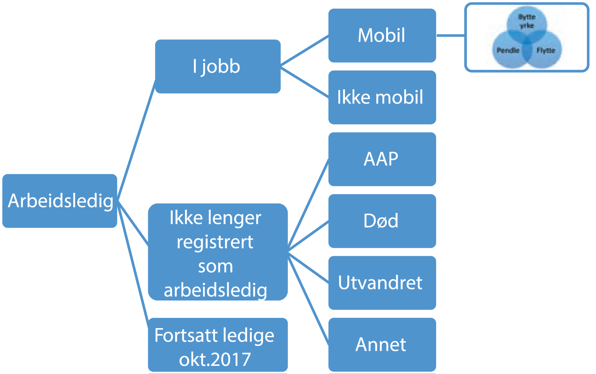 Figur 1. Kategorier i vårt utvalg